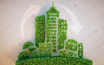Sustentabilidade nas empresas: 6 práticas que você pode adotar