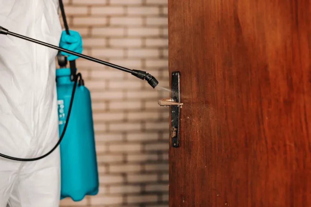Desinfecção de Portas: Estratégias para Ambientes Mais Seguros Desinfecção de Portas: Estratégias para Ambientes Mais Seguros